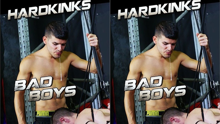 Bad Boys vol.3