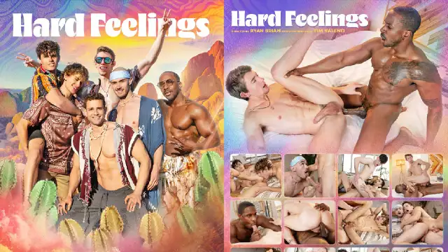 Hard Feelings