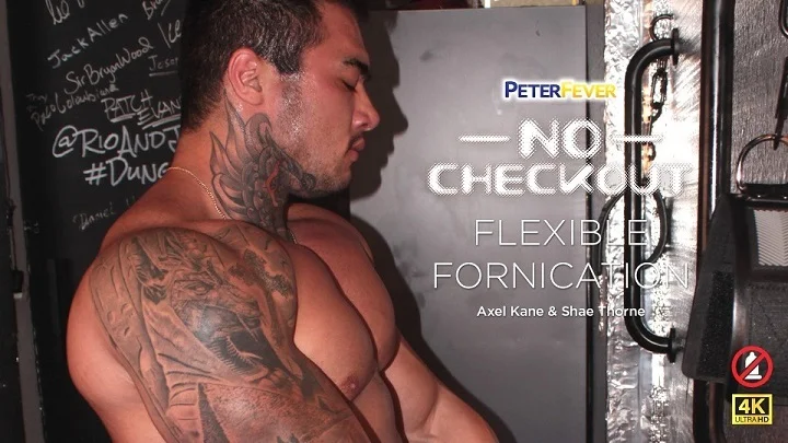 No Checkout 2 – Flexible Fornication