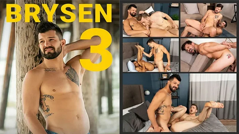 Brysen 3