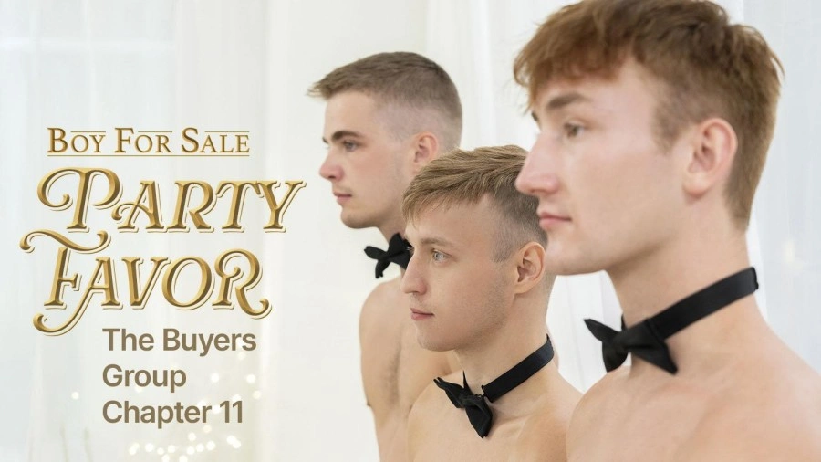 BoyForSale – The Buyer’s Group – The Buyer’s Group Chapter 11 – Party Favor